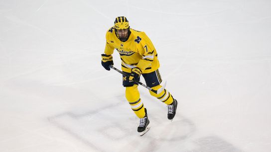 Johnny Beecher watch might be on as Bruins 2019 1st-round pick finishes junior season at Michigan taken At TD Garden (Bruins)