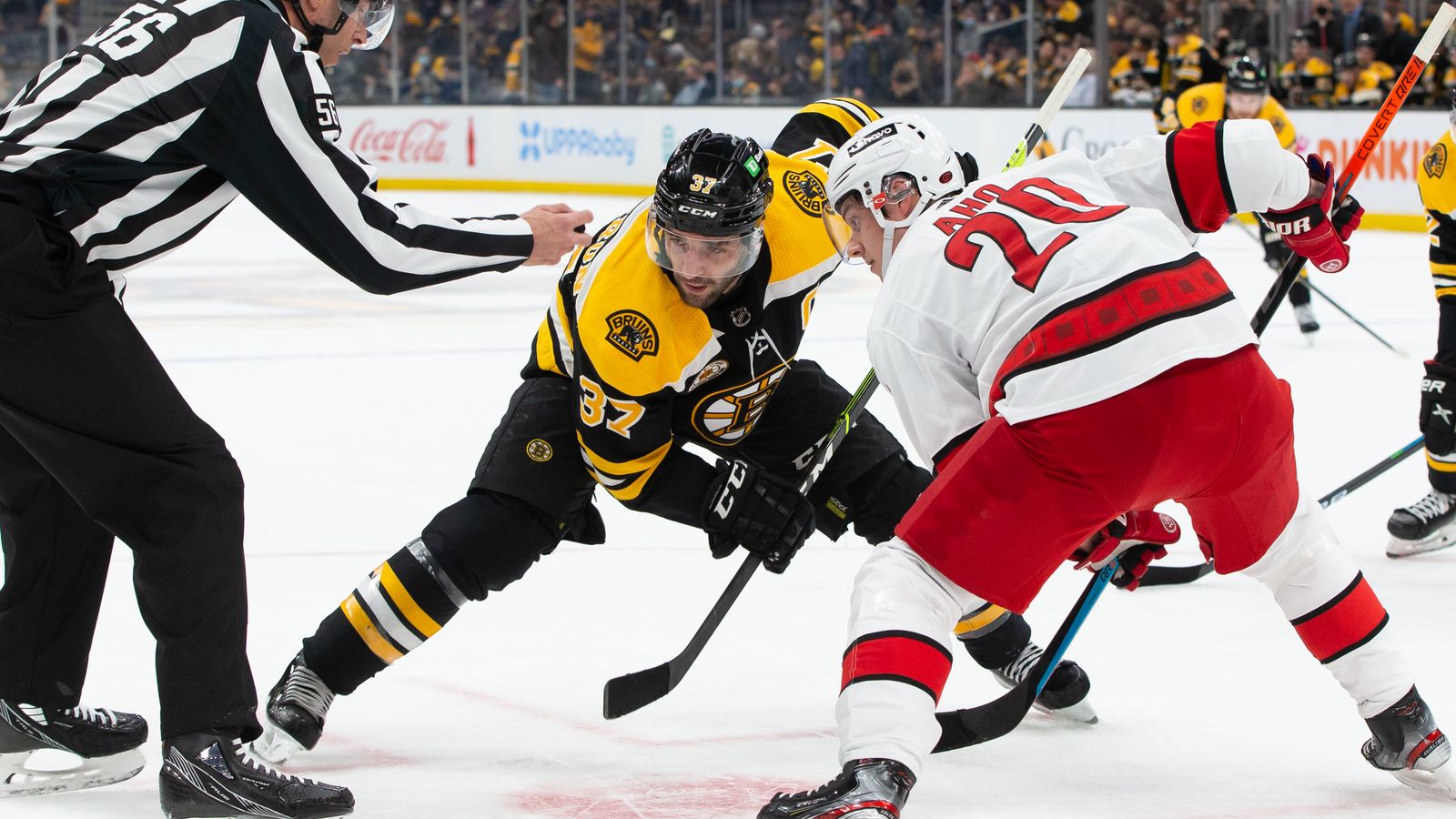 GOTTA SEE IT: Bench Goes Wild After Zdeno Chara Scores First Goal