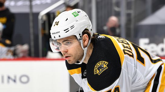 Bruins Notebook: DeBrusk hitting another high note vs. Leafs  taken at BSJ Headquarters (Bruins)