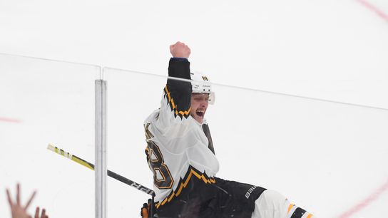 NHL Notebook: In wake of Xander Bogaerts' exit, Bruins need to learn from Red Sox' mistakes amid Pastrnak contract talks  taken at BSJ Headquarters (Bruins)