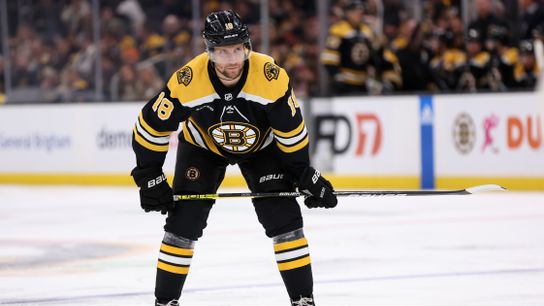 The Zacha-for-Haula trade continues to look better and better for Bruins  taken at TD Garden (Bruins)