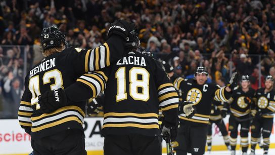 Haggerty: Respect Over Revenge For Bruins taken at TD Garden (Bruins)