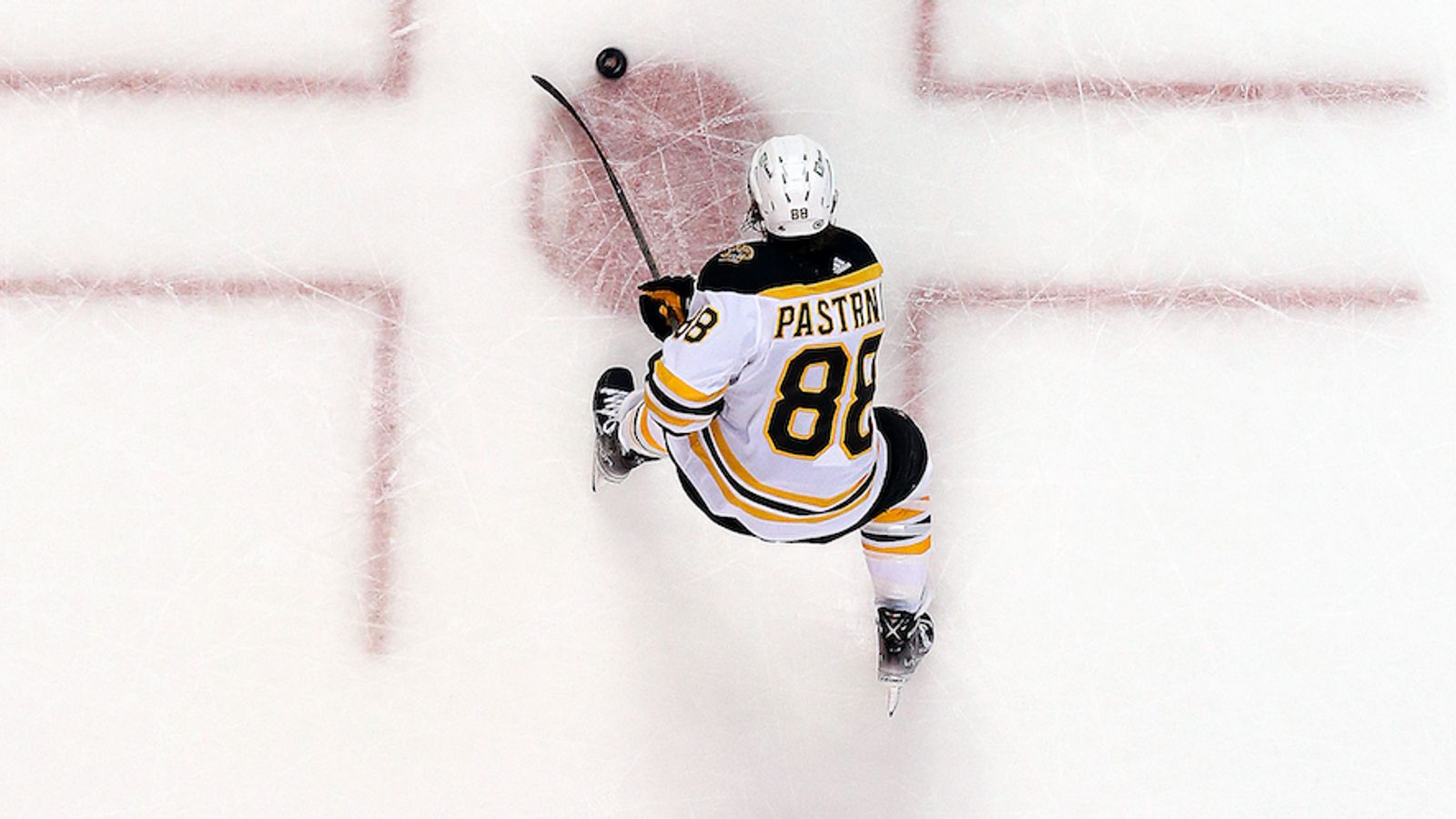The Bruins are back, in case you haven't noticed