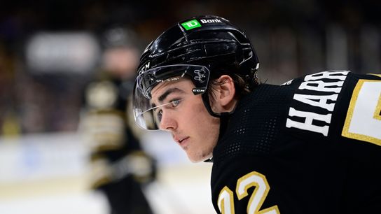 NHL Notebook: Brett Harrison raising his stock with the Bruins  taken at BSJ Headquarters (Bruins)