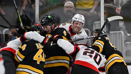 Haggerty: Youthful Bruins lineup will require some patience  taken at TD Garden (Bruins)