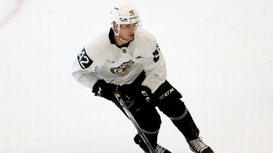 Haggerty: Bruins rookies 'have a long way to go' to win NHL job taken at BSJ Headquarters (Bruins)