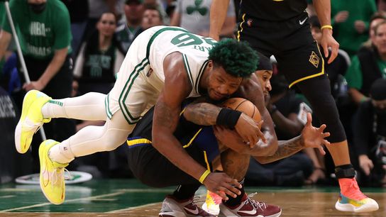The Boston Celtics All-Dog team on National Dog Day taken at BSJ Headquarters (Celtics)