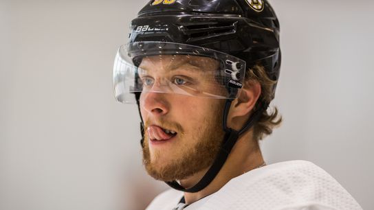 David Pastrnak serves up the magic in 6-2 win over Coyotes taken at Gila River Arena (Bruins)