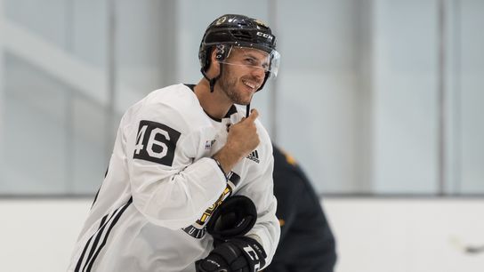 Veteran Krejci aiming to provide spark, guidance for younger B's taken at Warrior Ice Arena (All Articles)