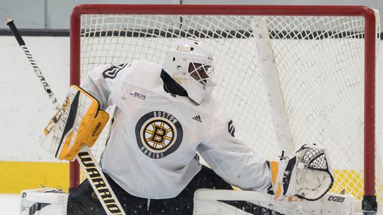 Time for Bruins' Malcolm Subban to prove his worth taken at Warrior Ice Arena (Bruins)