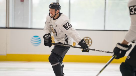 Beleskey clears waivers, will report to Providence taken at BSJ Headquarters (Bruins)