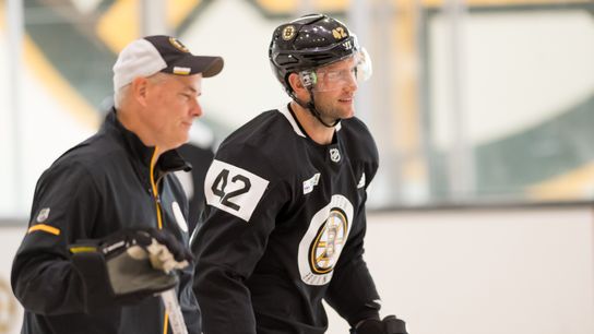 Five reasons why Bruins fans should appreciate David Backes taken at BSJ Headquarters (Bruins)