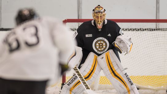 Bruins season preview: Youth, experienced core could blend perfectly taken at Warrior Ice Arena (Bruins)