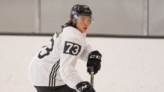 Bruins lineup vs. Red Wings: Krug, McAvoy paired on defense taken at Warrior Ice Arena (Bruins)