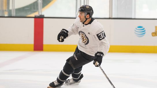 Bruins meet roster requirements for NHL preseason games taken at Warrior Ice Arena (Bruins)