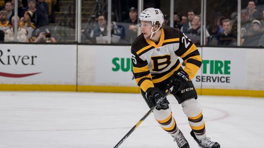Final: Bruins 5, Blues 2 — Bruins storm back to beat Blues taken at Warrior Ice Arena (Bruins)