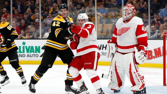 BSJ Game Report: Red Wings 3, Bruins 2 (OT) - Center competition highlighted in defeat taken at TD Garden (Bruins)
