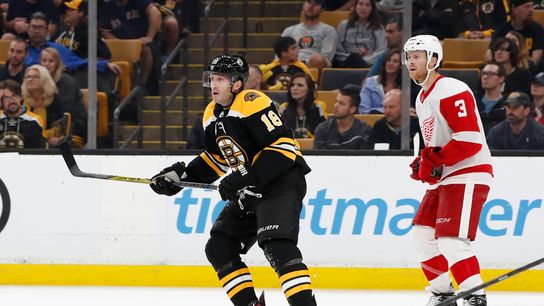 After a 'strange year', Lee Stempniak finds himself in top-6 role on Bruins taken at Warrior Ice Arena (Bruins)