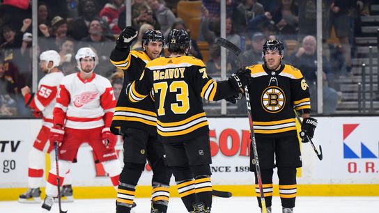 BSJ Game Report: Bruins 8, Red Wings 2 - David Pastrnak stays hot, secondary scoring breaks through taken at TD Garden (Bruins)