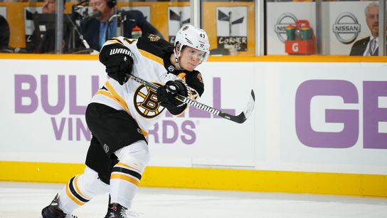 BSJ Game Report: Predators 1, Bruins 0 - Halak shines again, power play dries up taken at BSJ Headquarters (Bruins)