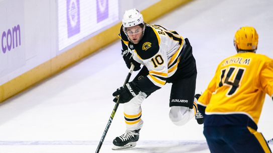 Bruins announce roster for 2019 Prospects Challenge taken at BSJ Headquarters (Bruins)