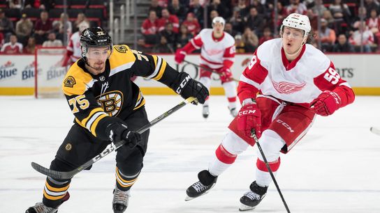 BSJ Game Report: Red Wings 3, Bruins 2 (OT) - B’s close trip with 4 of 8 possible points taken at BSJ Headquarters (Bruins)