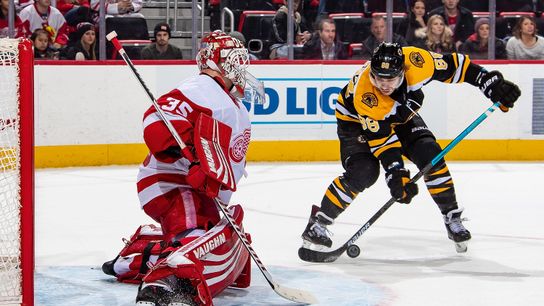 Final: Red Wings 6, Bruins 3 - Halak, defense falter taken at BSJ Headquarters (Bruins)