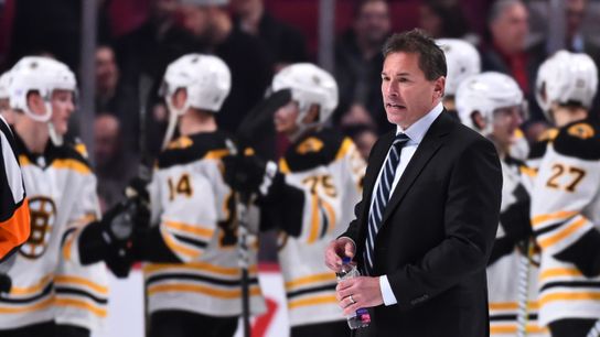 How does an NHL team respond after a blowout loss? For Bruce Cassidy, patience & perseverance are prescribed taken at BSJ Headquarters (Bruins)