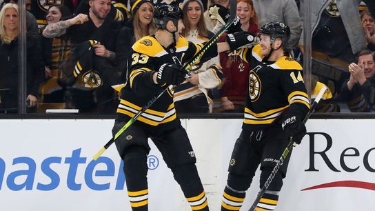 Why a hard-earned goal meant just a bit more for Chris Wagner taken at TD Garden (Bruins)