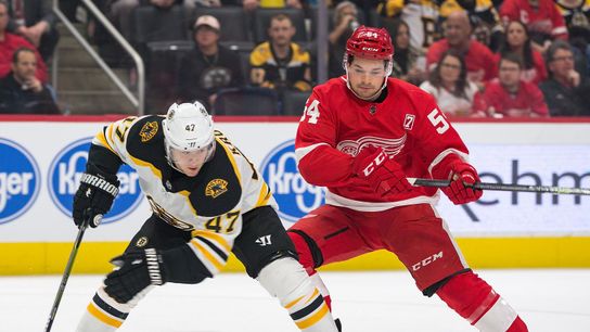 Final: Red Wings 3, Bruins 1 - B's win streak snapped taken at BSJ Headquarters (Bruins)