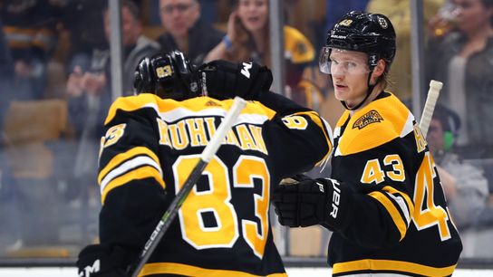 BSJ Game Report: Lightning 6, Bruins 3 - B’s stay healthy, come up short to close out regular season taken at TD Garden (Bruins)