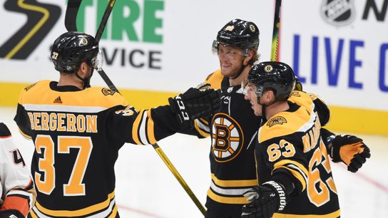 Final: Bruins 4, Ducks 2 - Pastrnak, Halak lift Bruins past Ducks taken at TD Garden (Bruins)