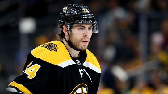 DeBrusk, Pastrnak tally hat tricks as Bruins close out preseason with rout over Chicago: 3 things we learned taken at TD Garden (Bruins)