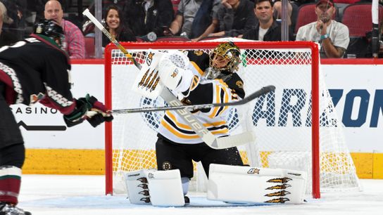 BSJ Game Report: Bruins 1, Coyotes 0 - Halak stands tall, posts 35-save shutout in tight win over Coyotes taken at BSJ Headquarters (Bruins)
