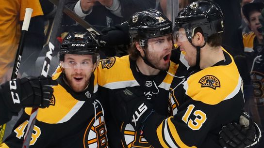 BSJ Game Report: Bruins 3, Golden Knights 2 - Krejci, DeBrusk lead B’s 3rd-period rally taken at TD Garden (Bruins)