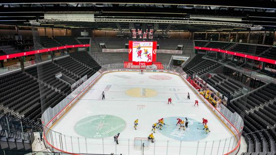 NHL hockey in an empty barn? Bruins admit 'it’d be really tough' playing in such a scenario taken at BSJ Headquarters (Bruins)