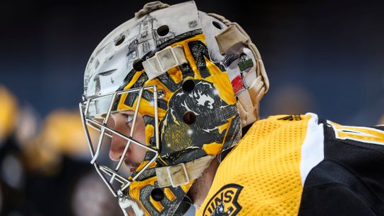 Suddenly pressed into backup goalie role, Dan Vladar is ready for task that awaits taken at BSJ Headquarters (Bruins)