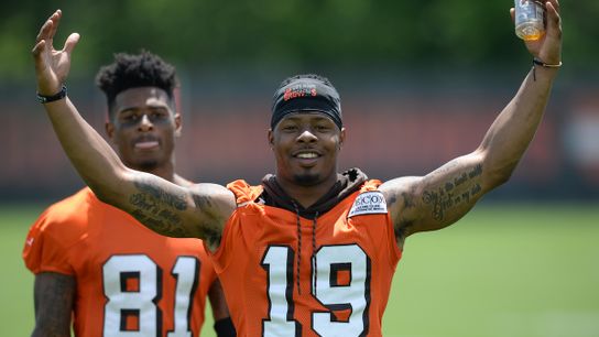 Analysis: Trying to figure out how WR Corey Coleman fits in the Patriots' passing game taken at Gillette Stadium (Patriots)