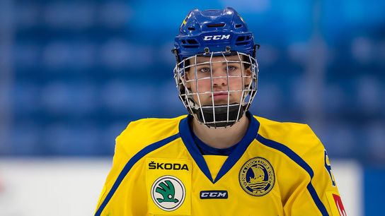 Day Two of NHL Draft: Bruins focus on restocking depth at center, defense taken at American Airlines Center (Bruins)