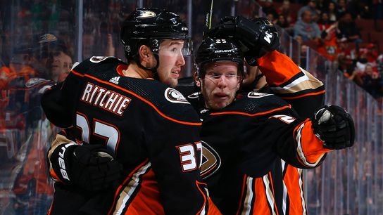 They may not steal headlines, but Don Sweeney's deadline moves addressed some major flaws on this Bruins club taken at Warrior Ice Arena (Bruins)