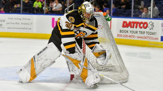 Bruins have big expectations for goalie prospect Dan Vladar, who has big personality taken at Warrior Ice Arena (Bruins)