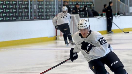 Development camp analysis: Studnicka, Lauko stand out in prospect scrimmage taken at Warrior Ice Arena (Bruins)