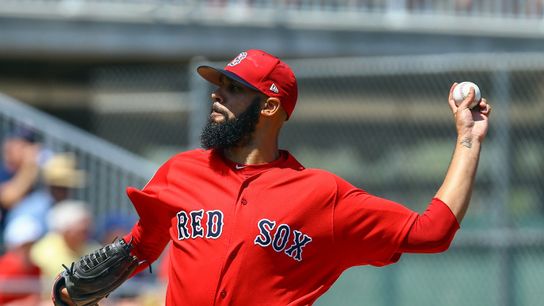 Final: Red Sox 1, Rays 0 - Led by Price, pitching comes together in Game 2 taken at Tropicana Field (Red Sox)