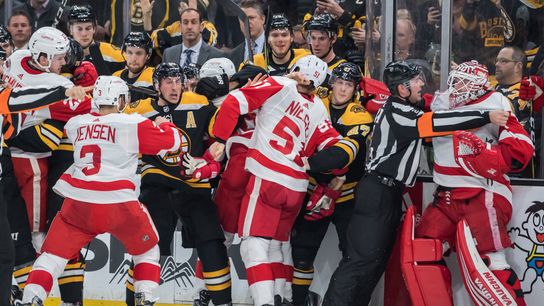 Final: Bruins 4, Red Wings 1 - B's get their revenge on Detroit taken at TD Garden (Bruins)