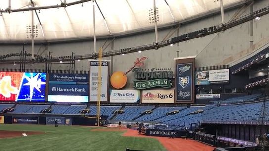 Video: Ballpark Tour - Tropicana Field taken at Tropicana Field (Red Sox)