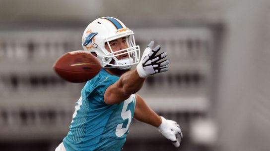 Patriots add LB Trevor Reilly to active roster, sign NT Mike Purcell to practice squad taken at Gillette Stadium (Patriots)