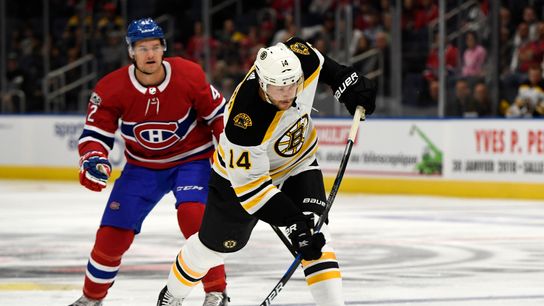 Bruins benefitting from Paul Postma's presence thanks to unlikely assist taken at Warrior Ice Arena (Bruins)