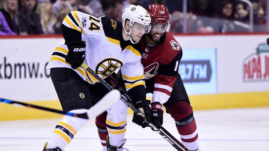 Bruins rookie Jake DeBrusk never wants to be a healthy scratch again taken at Warrior Ic Arena (Bruins)