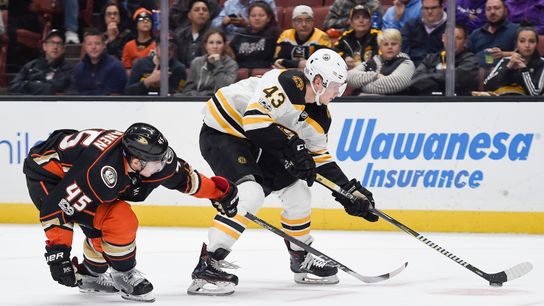 Final: Bruins 3, Ducks 0 — Halak posts shutout, B's open road trip with 4th straight win taken at Honda Center (Bruins)