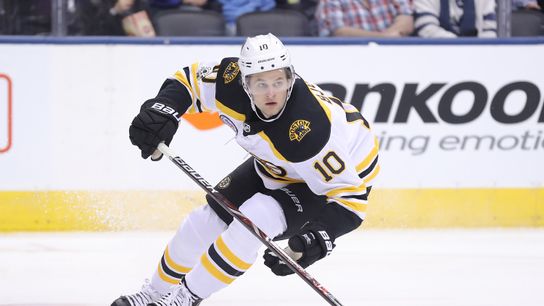 Bruins Game Day Notes: Bjork recalled, Acciari out, Vatrano returns taken at Canadian Tire Centre (Bruins)